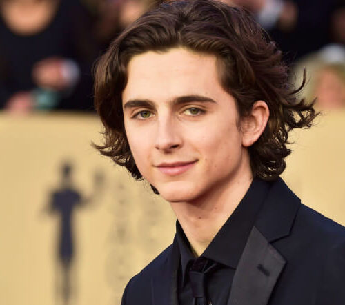 Timothee Chalamet | Net Worth, Age, Height, Movies